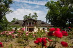 dworek ze zdjęć samochodów na ślub